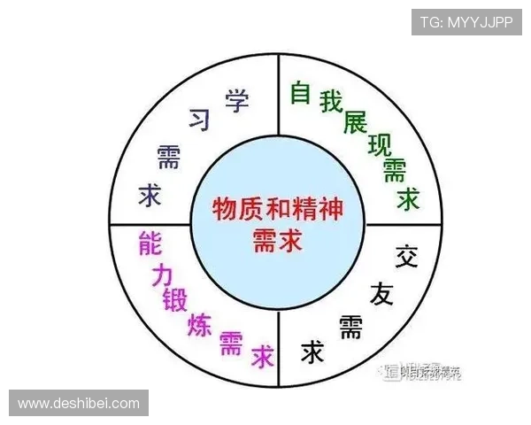 深圳篮球队的团队协作精神探讨与实践分析